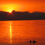 Sea kayaking at sunset