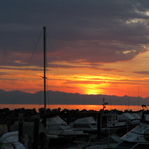 Westview Marina